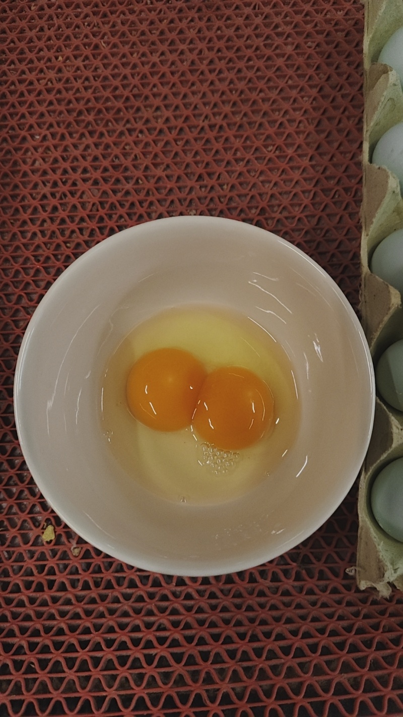 绿壳鲜鸡蛋双色