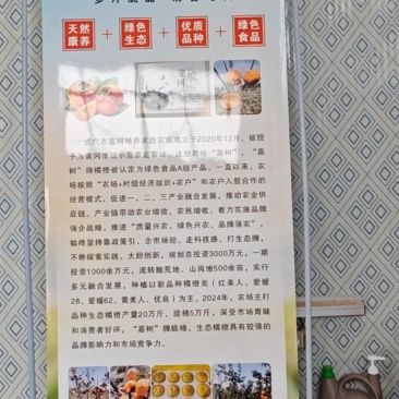 嘉树脆柿