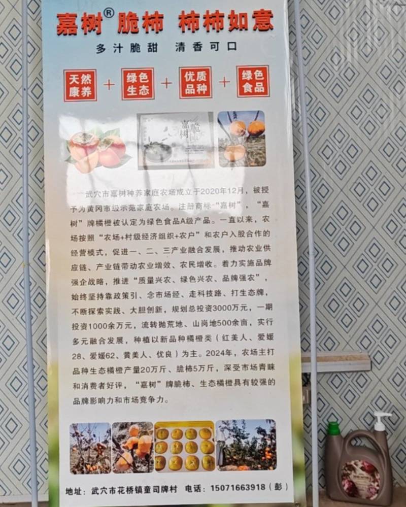 嘉树脆柿