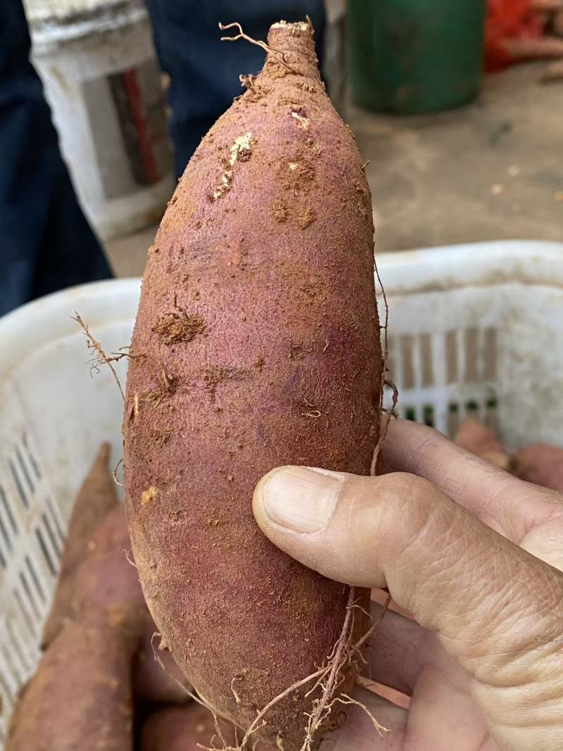 榴莲蜜薯