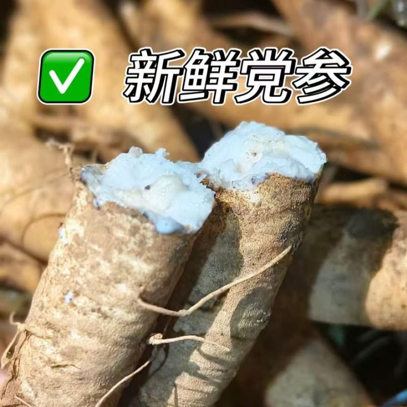 党参
