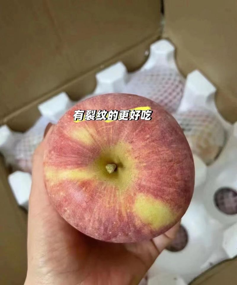 山西红富士
