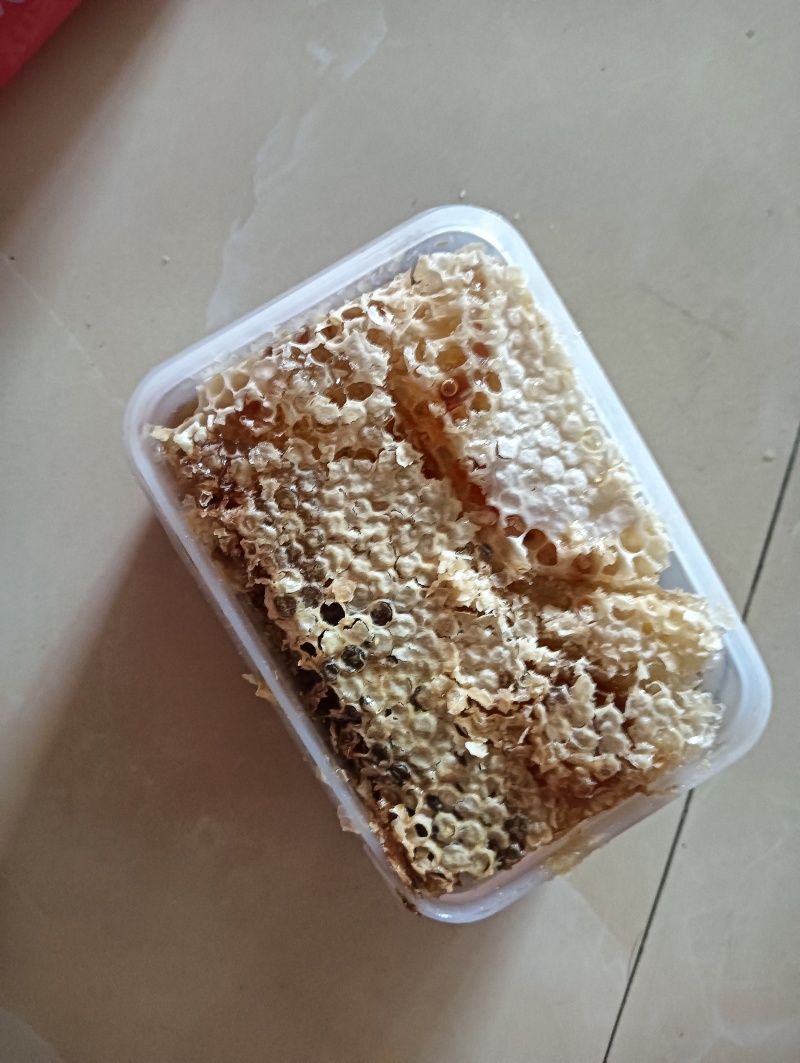 土蜂蜜🍯