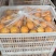湖南麻阳冰糖橙，代办+一件代发