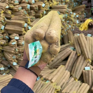 社区团购，电商爆品，精品袋装山药