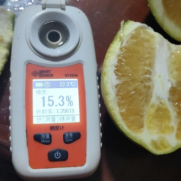 赣南信丰脐橙