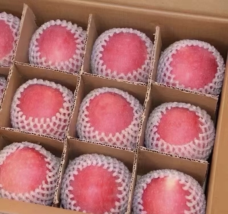 【果界甄选】陕西特级红富士苹果精品果