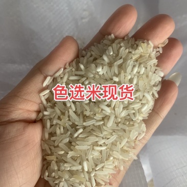 色选米二选三选米发全国广东广西海南喂鸡米鸭鹅饲料养殖基地