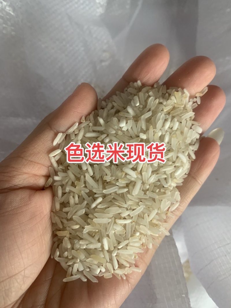 色选米二选三选米发全国广东广西海南喂鸡米鸭鹅饲料养殖基地