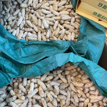 云南七彩花生，花青素含量丰富，奶香味，无科技狠活，