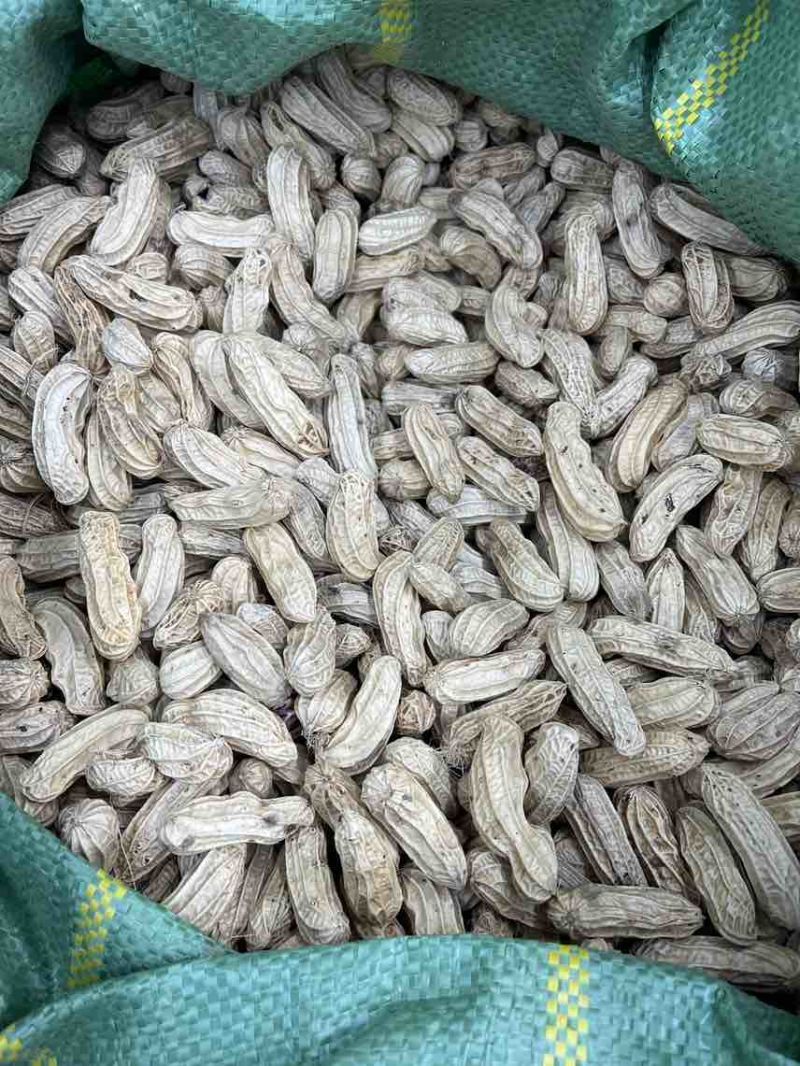 云南七彩花生，花青素含量丰富，奶香味，无科技狠活，