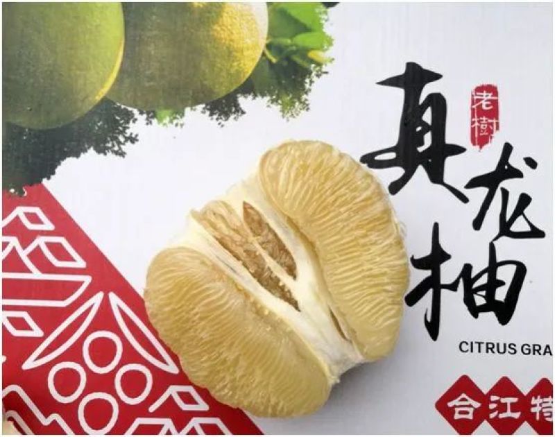 泸州合江真龙柚纯甜多汁