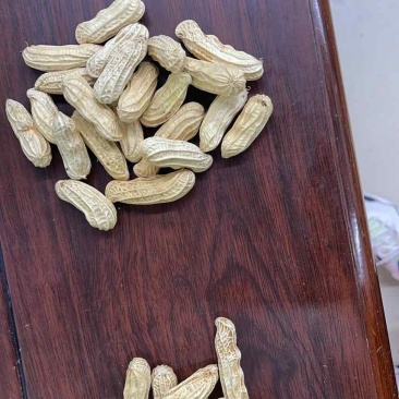 老板您好，我有云南七彩花生，云南黑花生机选带壳干货