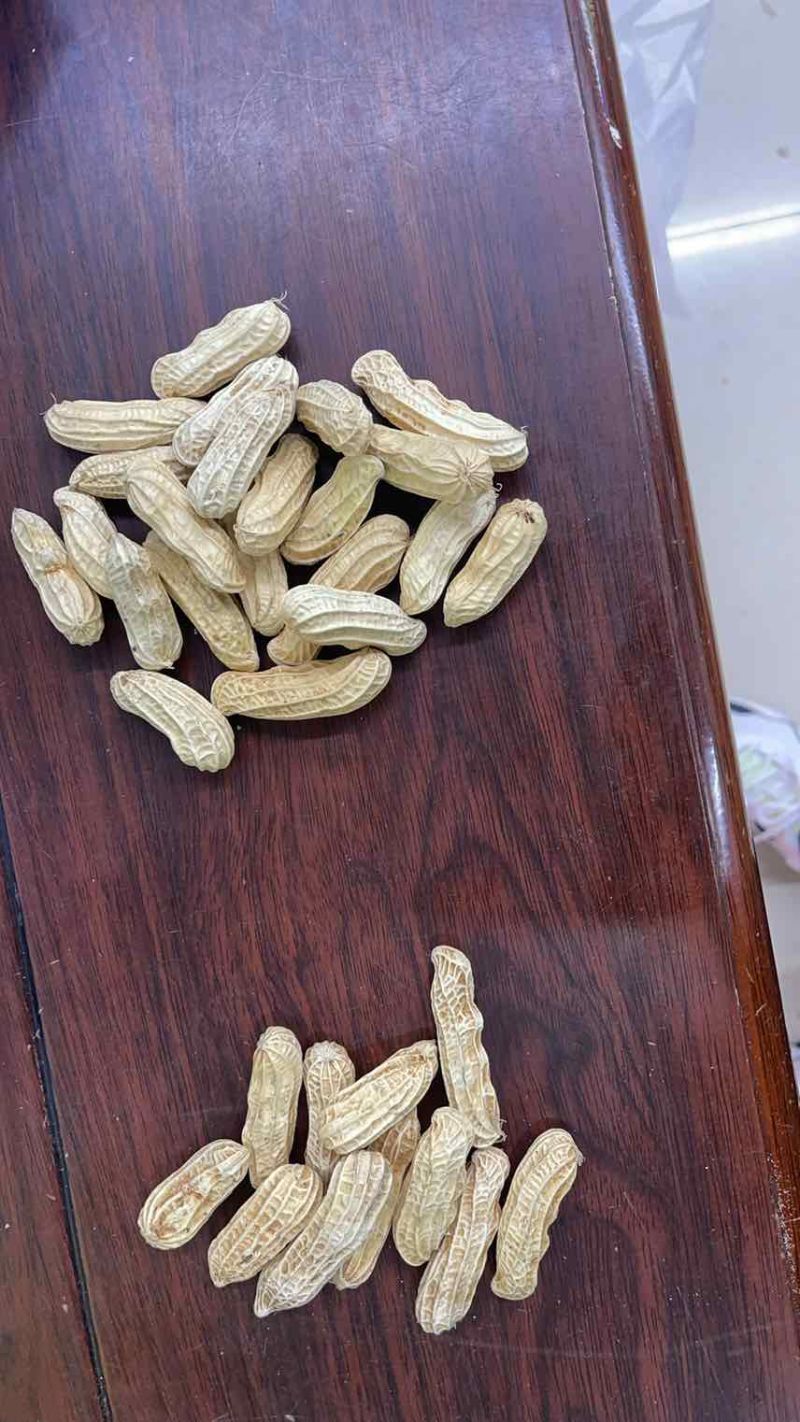 老板您好，我有云南七彩花生，云南黑花生机选带壳干货