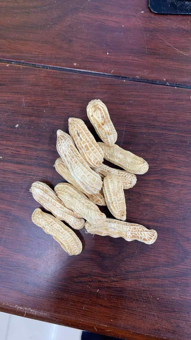 老板您好，我有云南七彩花生，云南黑花生机选带壳干货