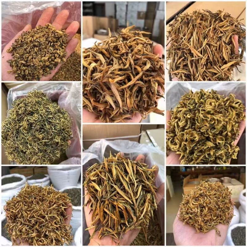 云南普洱红茶系列