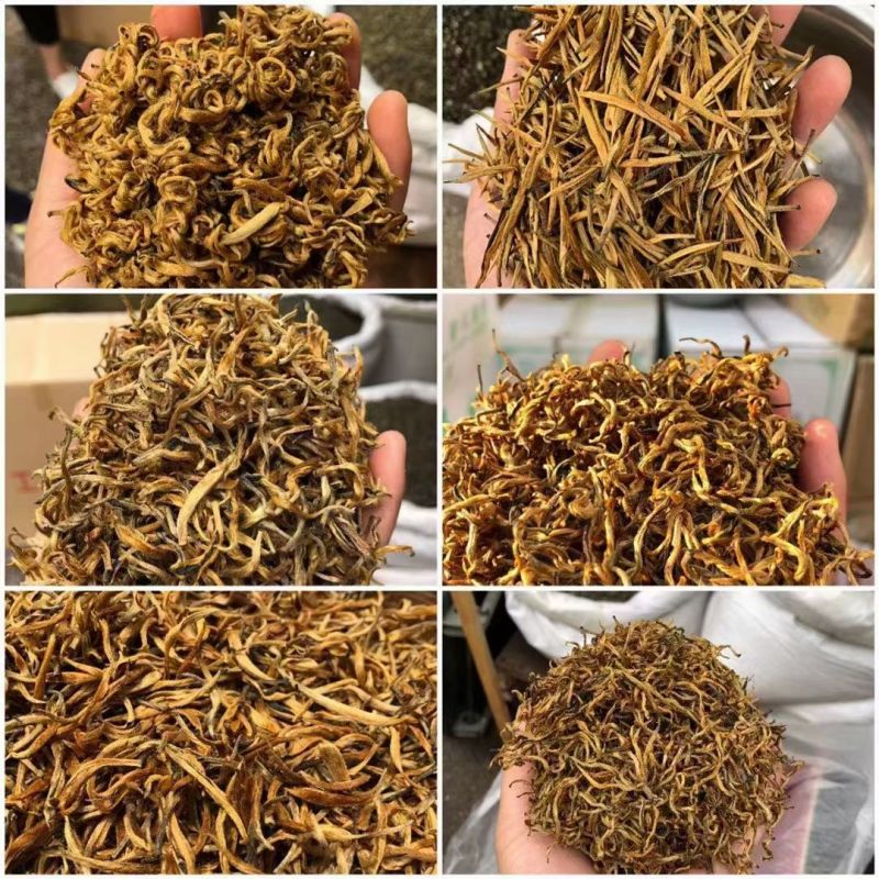 云南普洱红茶系列