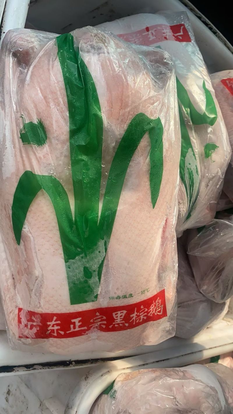 每天大量屠宰黑棕鹅，所有规格齐全，新鲜现杀出货