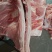 带皮前上肉