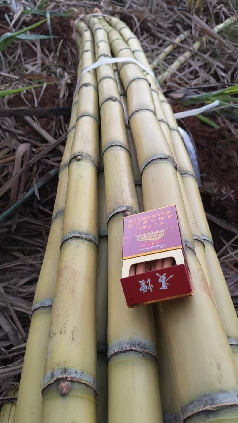 云南黄皮甘蔗