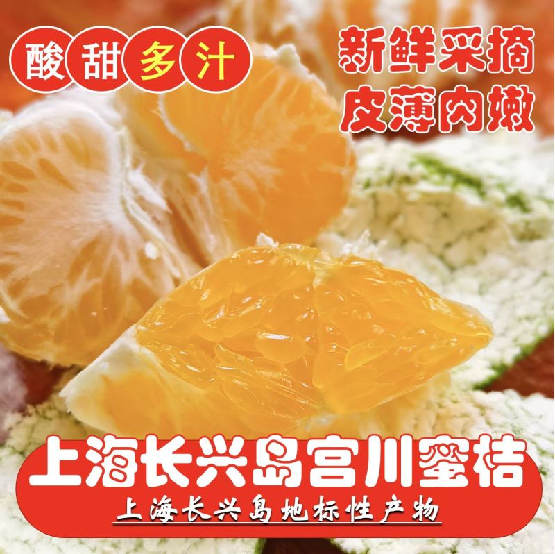 基地直发，量大质优，果子漂亮，价格美丽，欢迎采购