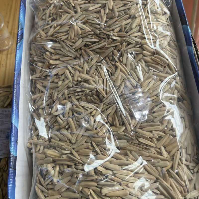 新疆马牙牙签瓜子新货支持一件贷发阿克苏特产新货长粒牙签
