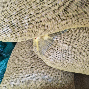 山药豆