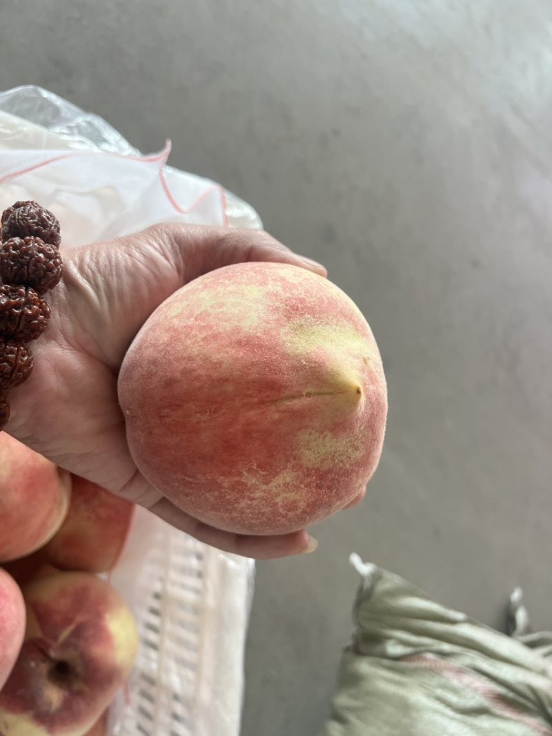 金秋红蜜，映霜红，精品果，市场果，高次