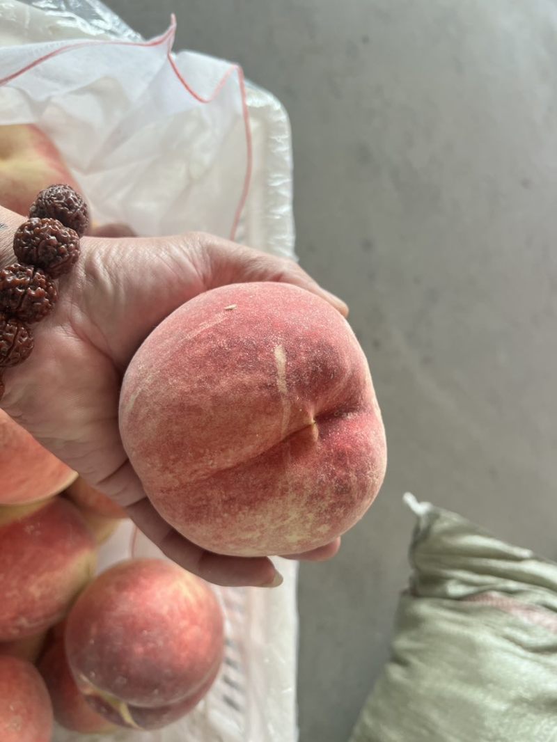 金秋红蜜，映霜红，精品果，市场果，高次