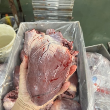 母猪心