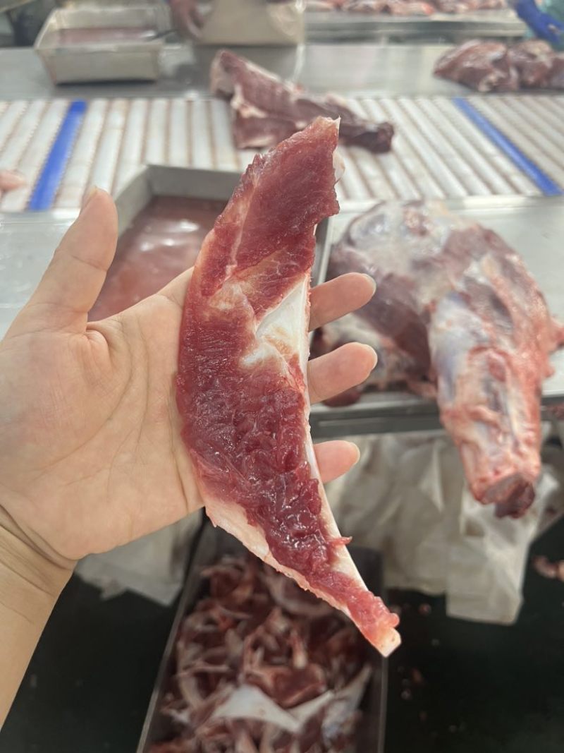 母猪月牙骨