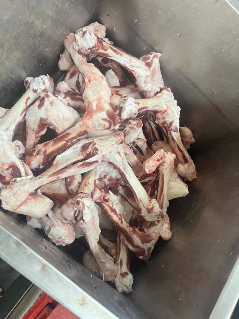 后腿骨光骨