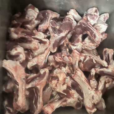 后腿骨光骨