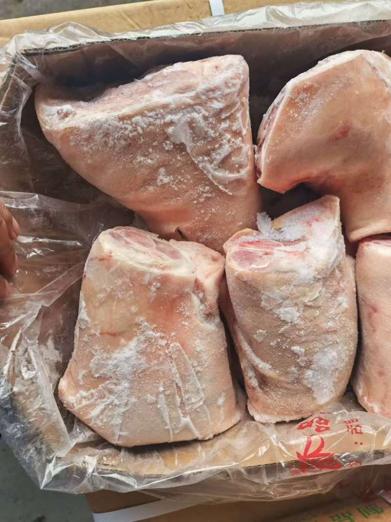 肥猪前肘