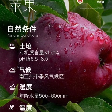 天水花牛苹果