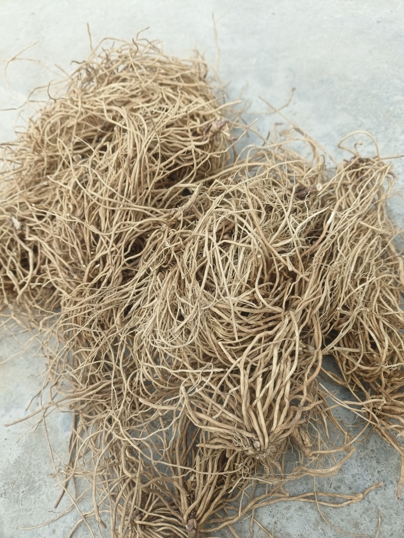山东省泰安中药白微