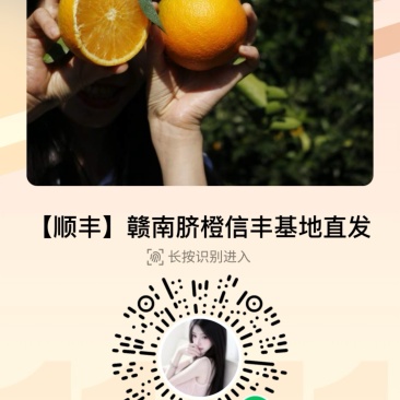赣南脐橙