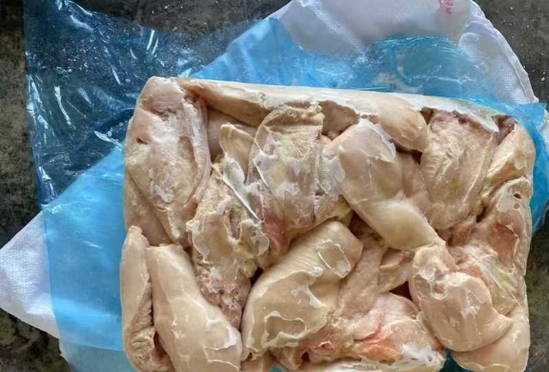 老鸡大胸山东发货价格便宜质量保证