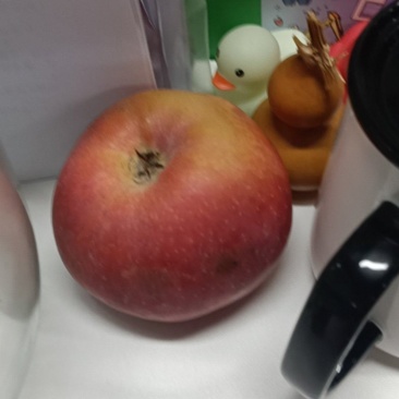 苹果