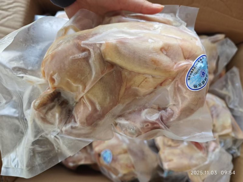 电商用真空包装回填黑脚老母鸡