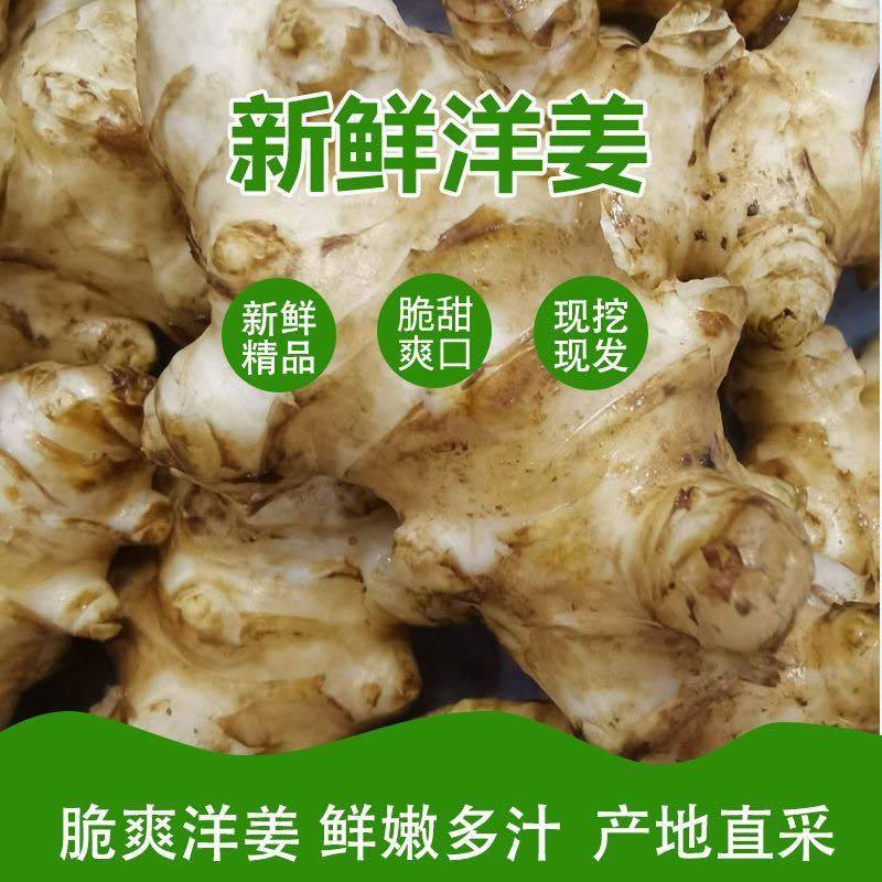 洋姜鬼子姜胰岛果