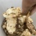 洋姜鬼子姜胰岛果
