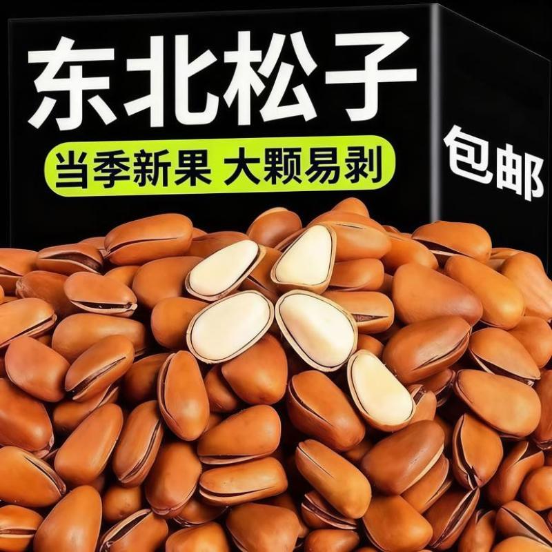 东北松子大颗粒开口率高各大电商一件代发批量拿货