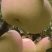 茂汶瑞雪苹果SuhFlower_TT