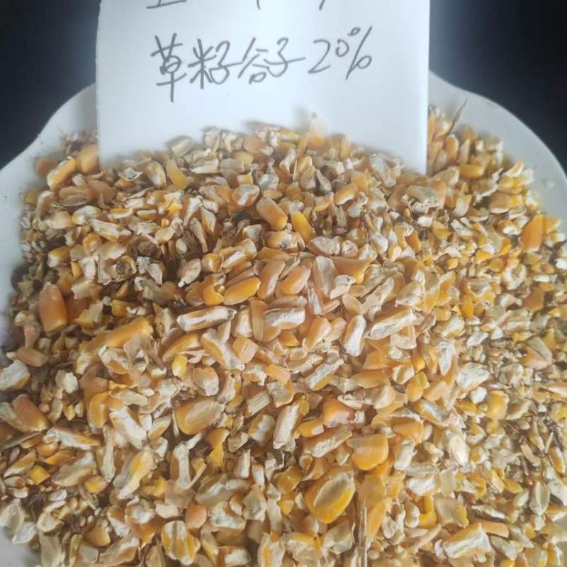 玉米碎喂鸡鸭鹅鸽子粮鹌鹑牛马兔牛羊营养饲料