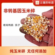 玉米碎喂鸡鸭鹅鸽子粮鹌鹑牛马兔牛羊营养饲料