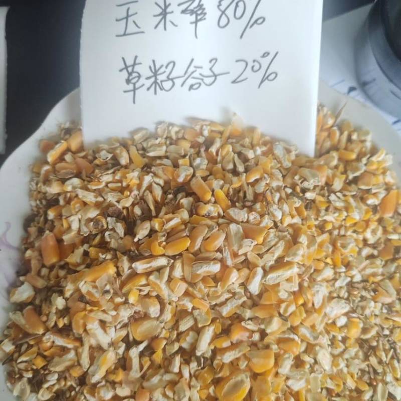 玉米碎喂鸡鸭鹅鸽子粮鹌鹑牛马兔牛羊营养饲料