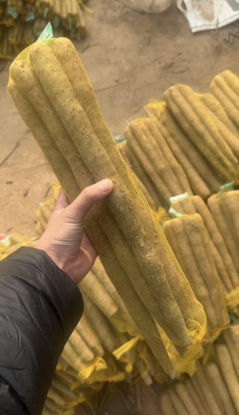 精品袋装山药，社区团购**，需要联系