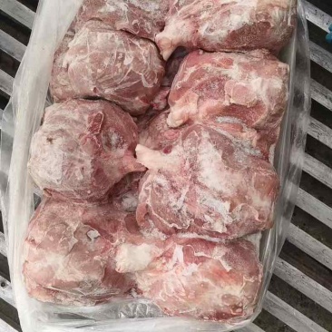 母猪腱子肉龟腱