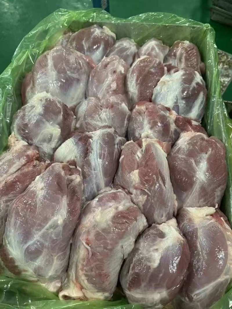 母猪腱子肉龟腱